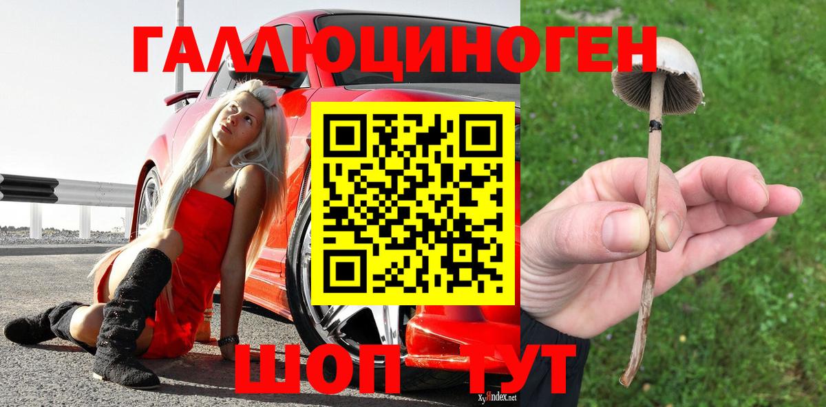 Елизово  Псилоцибиновые грибы мухоморы  Галлюциногенные грибы Cubensis  Вход с VPN 